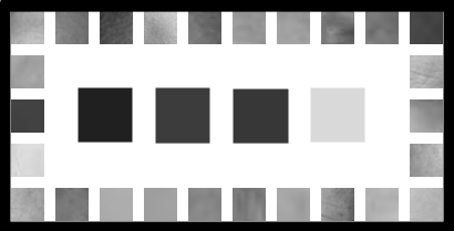 skin color grey scale on white